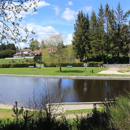 Gite Avec Cheminee, Terrasse Et Wifi - Animaux Acceptes - Fr-1-496-163 Usson-en-Forez Екстериор снимка